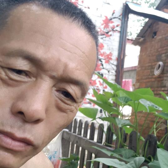 用户80278851