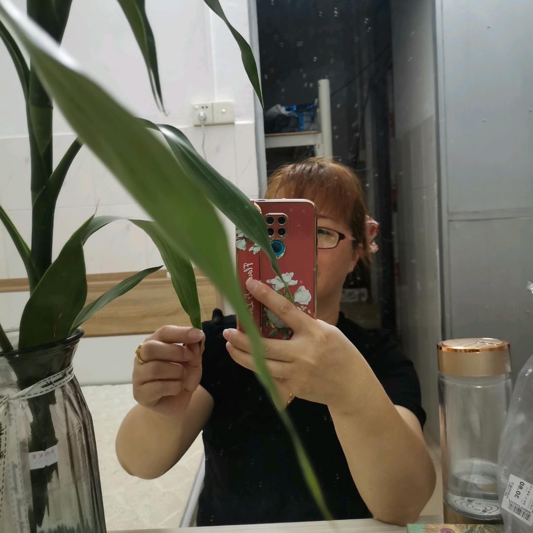 小燕子