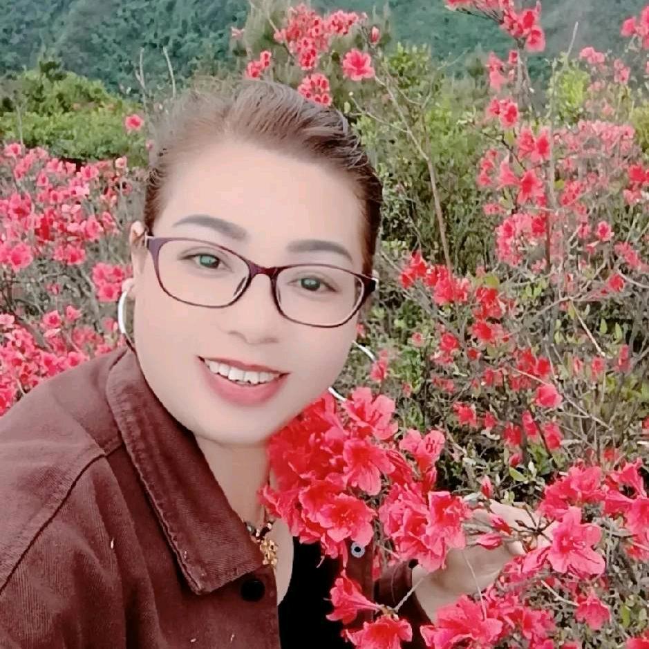 开心果