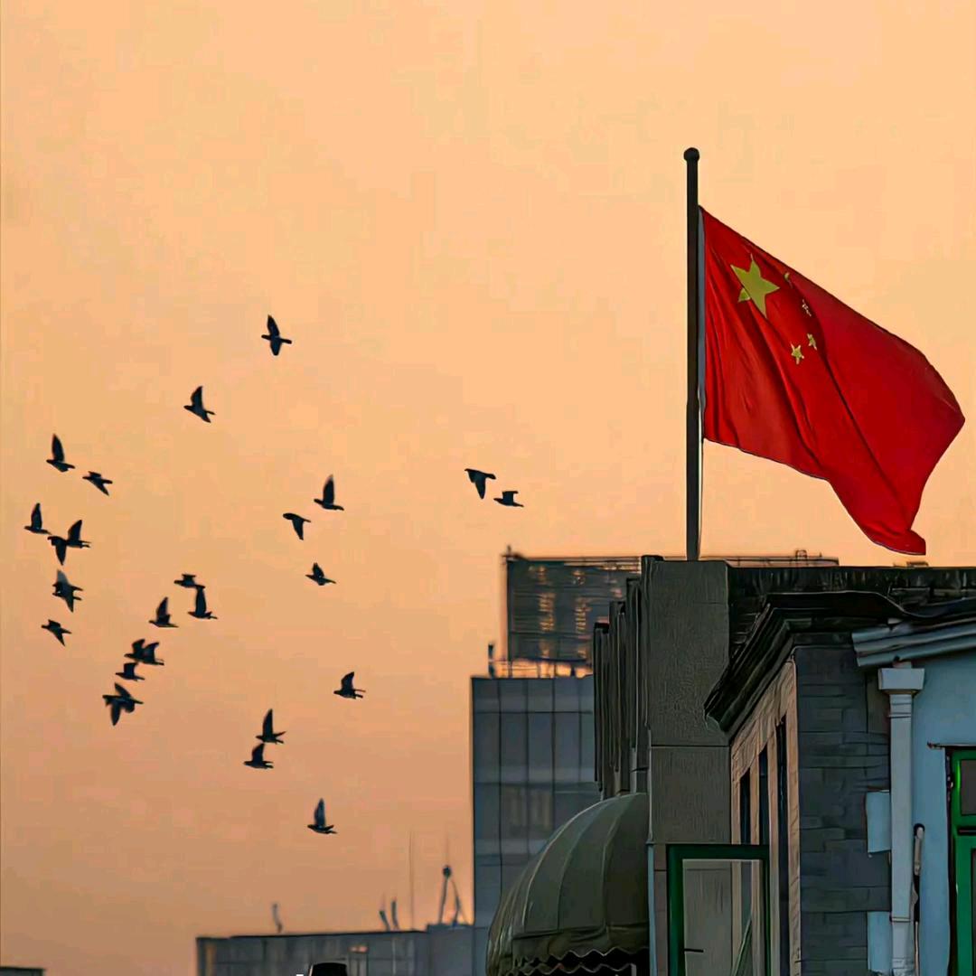 杏仁十三👦🏻