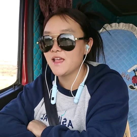 卡车一支梅