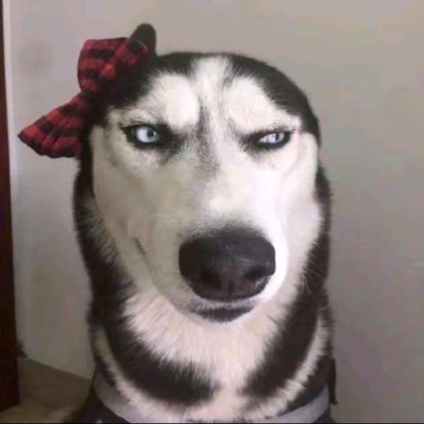 不爱笑