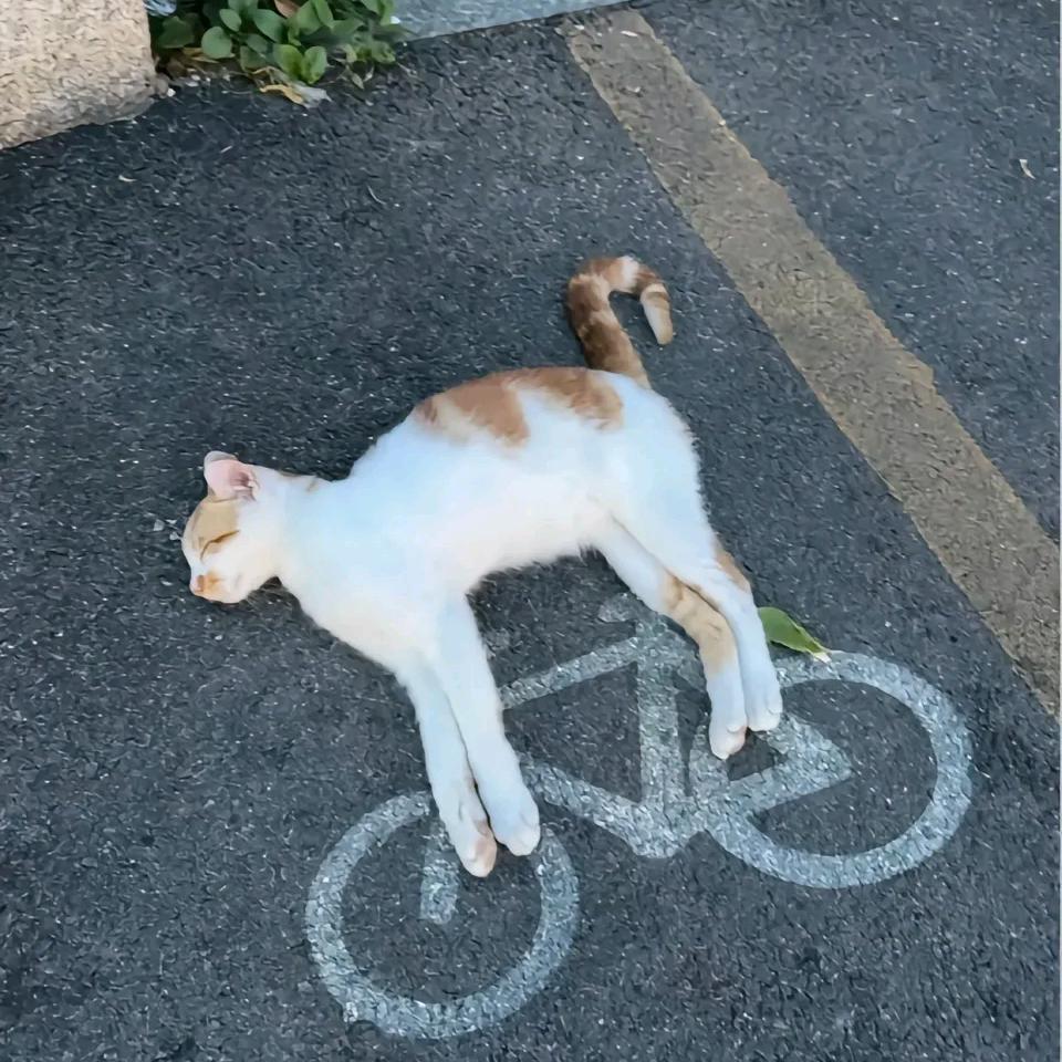 归属地