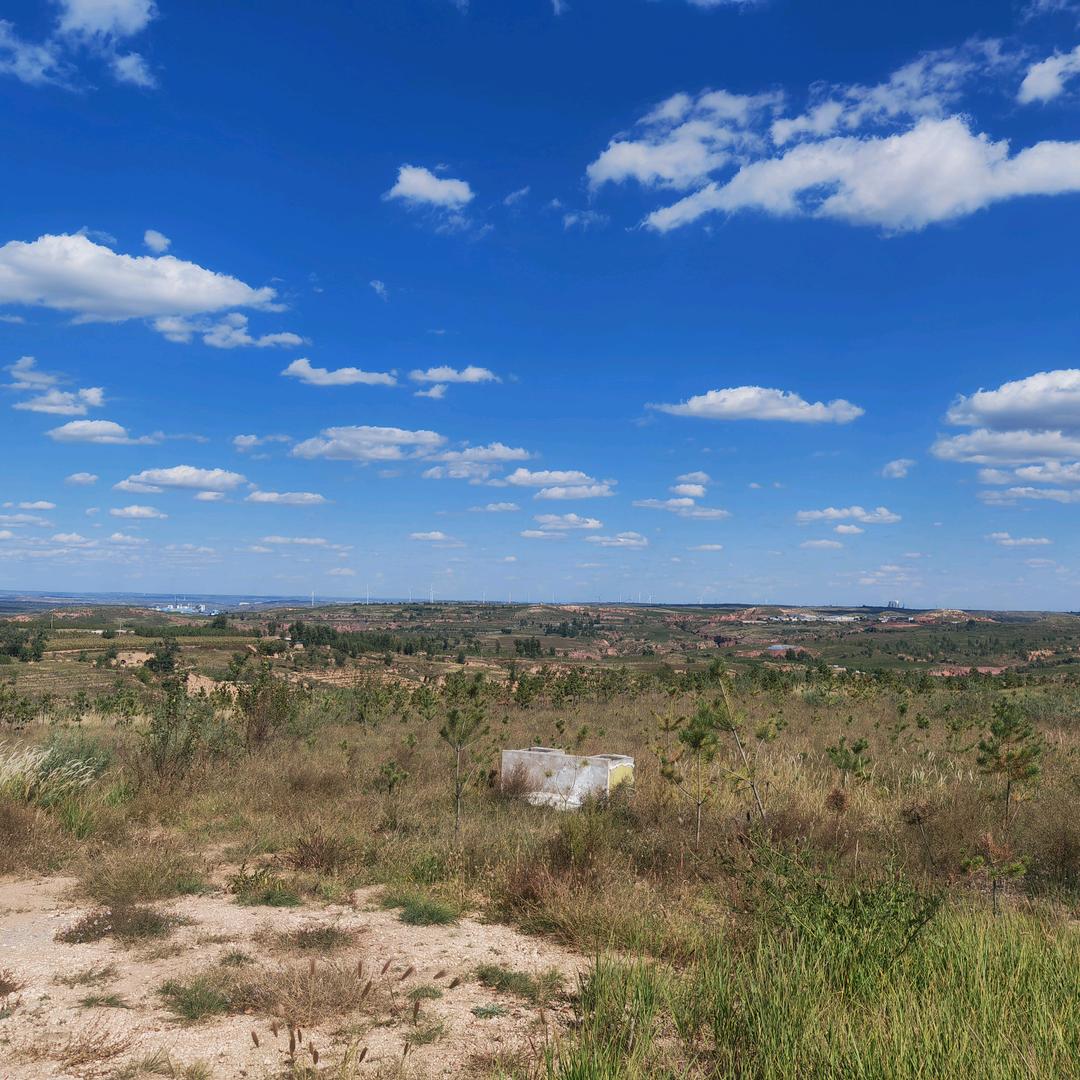 小恒(暗区突围PC)