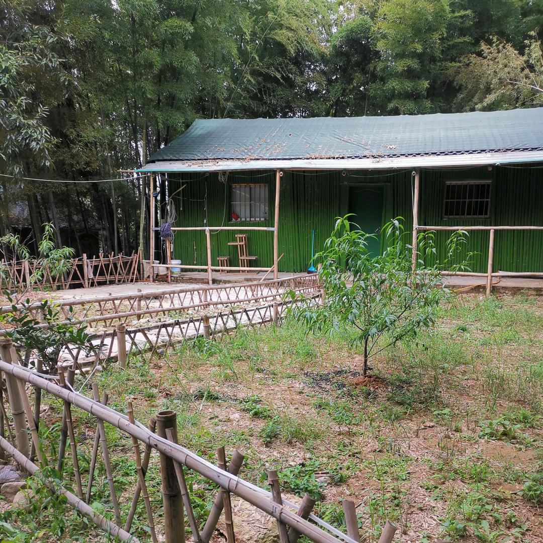 其老大生态小院