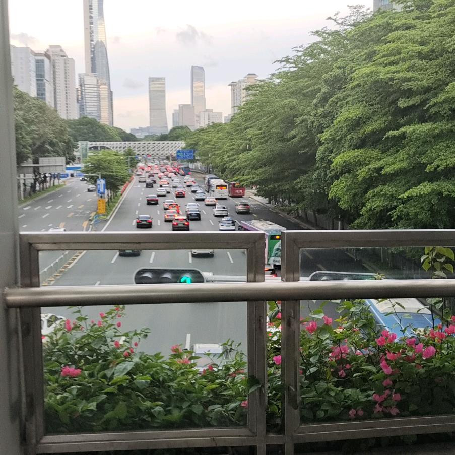 风里雨里🕊🕊