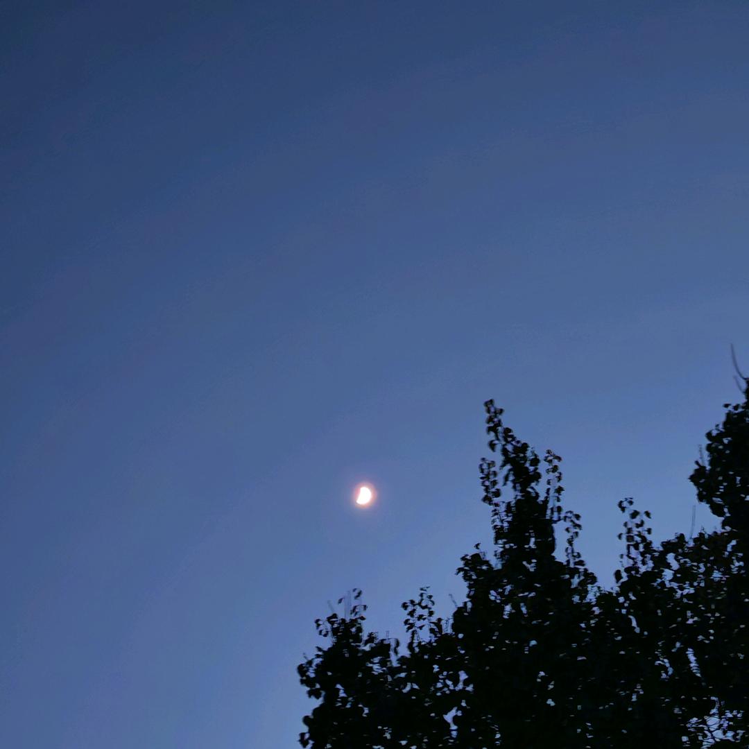 一座旧城的记忆密码