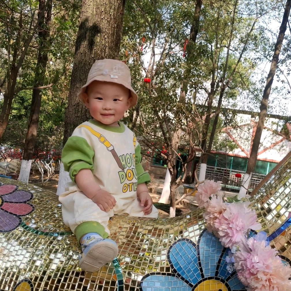 肖姐