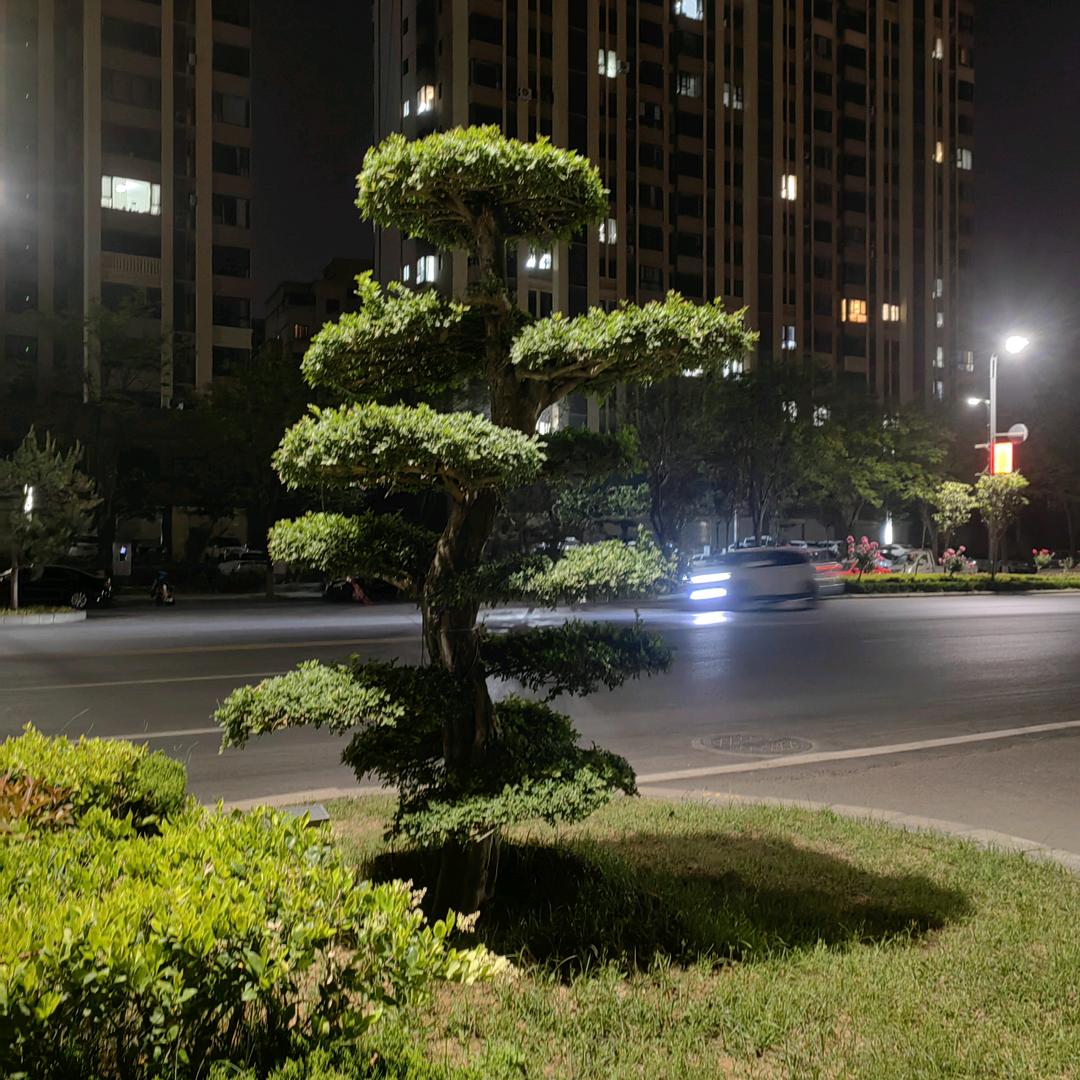 吾悠悠