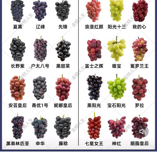 榜迈臻选利华果树苗木专卖店