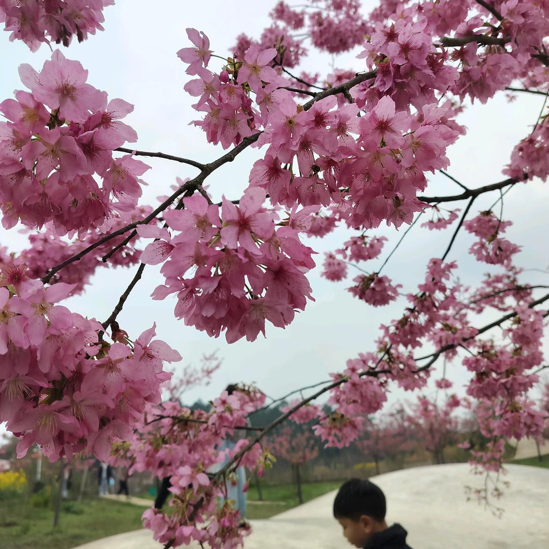 顺心捷达江津店