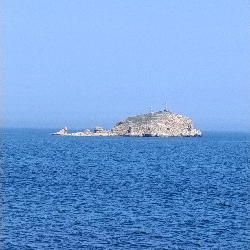 初七