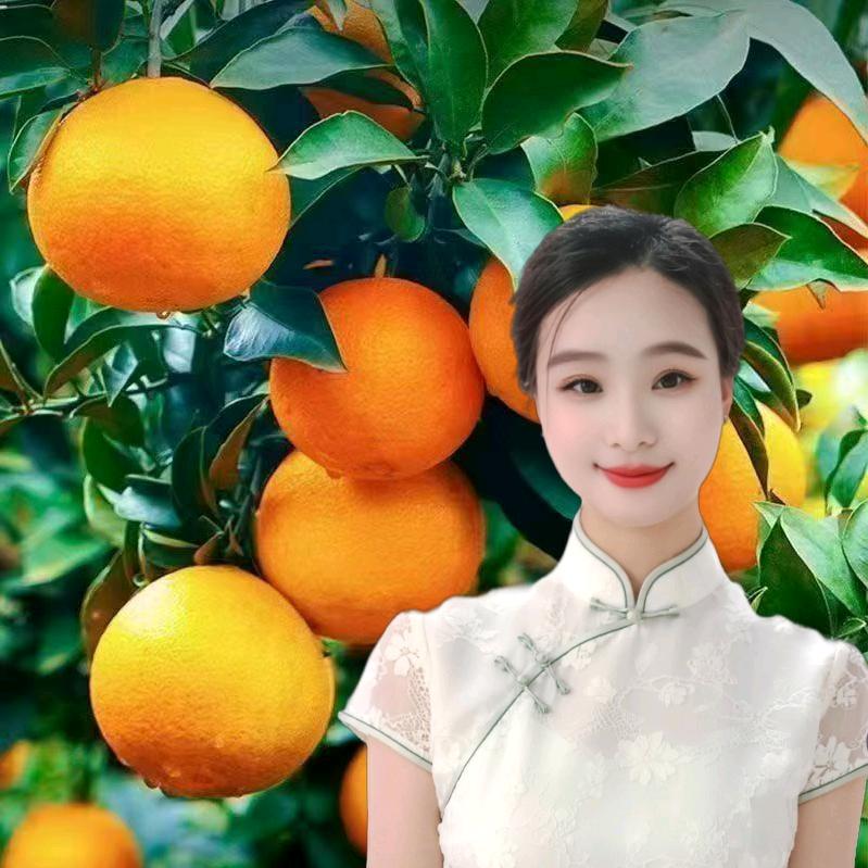 糖瓜瓜