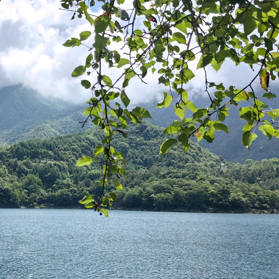 阿飞商贸店（个体工商户）
