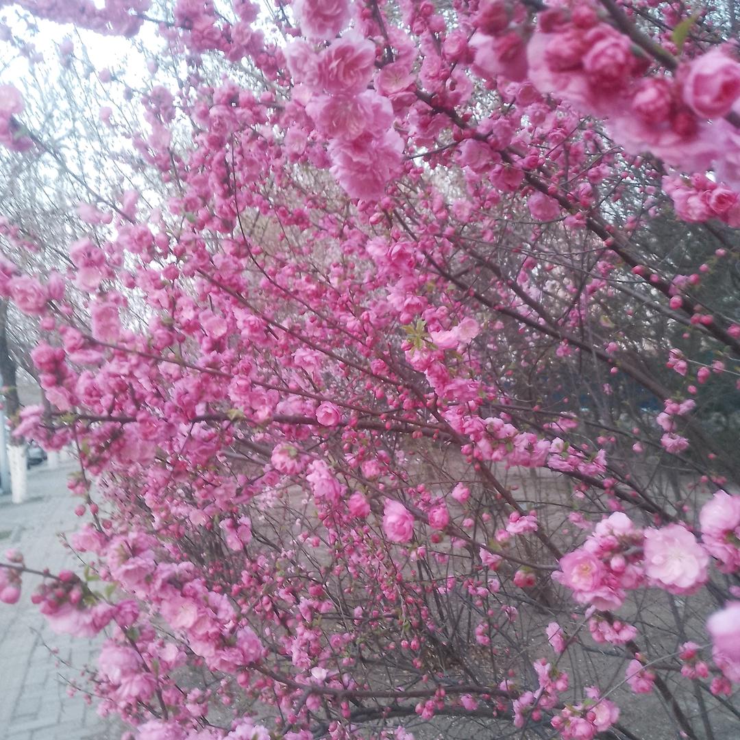 天天财源滚滚来！