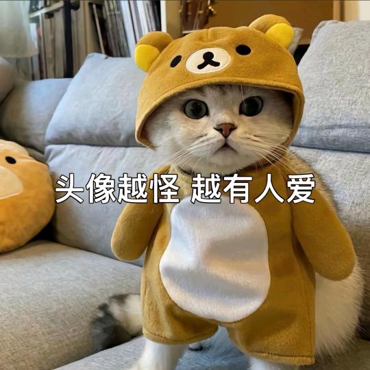 🌈谭同学（班助版）