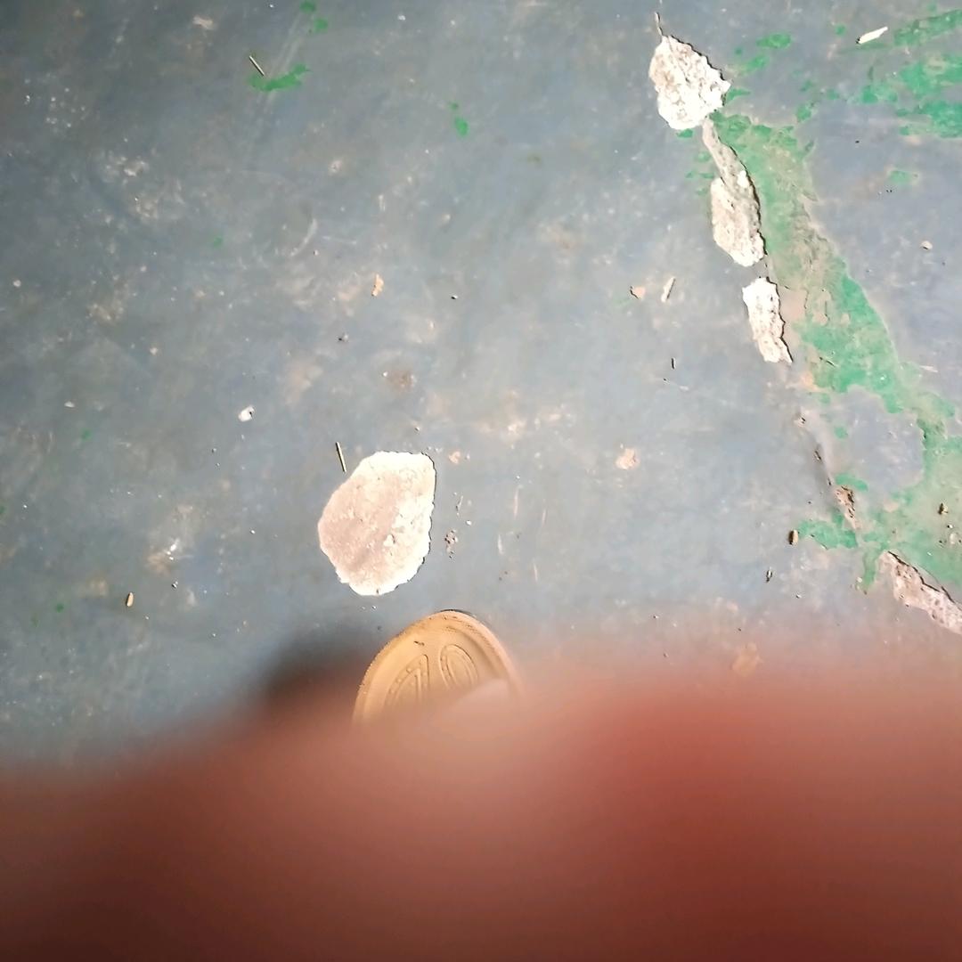 菊