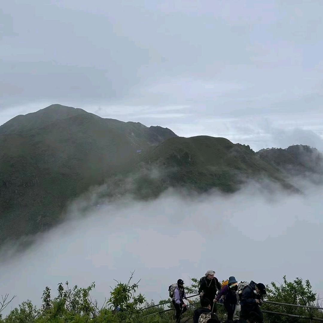 唐僧洗头爱飘柔……………