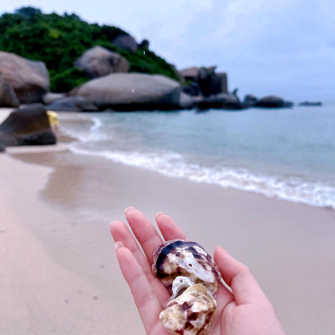 @阿雯