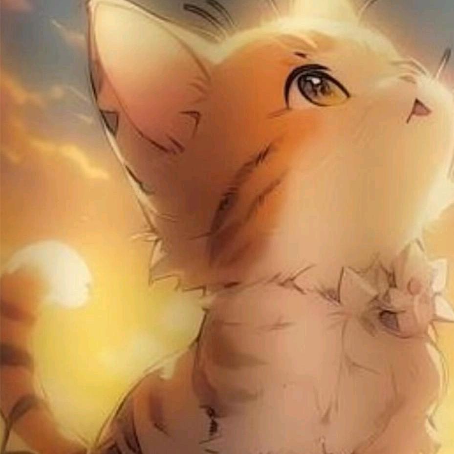 高腾