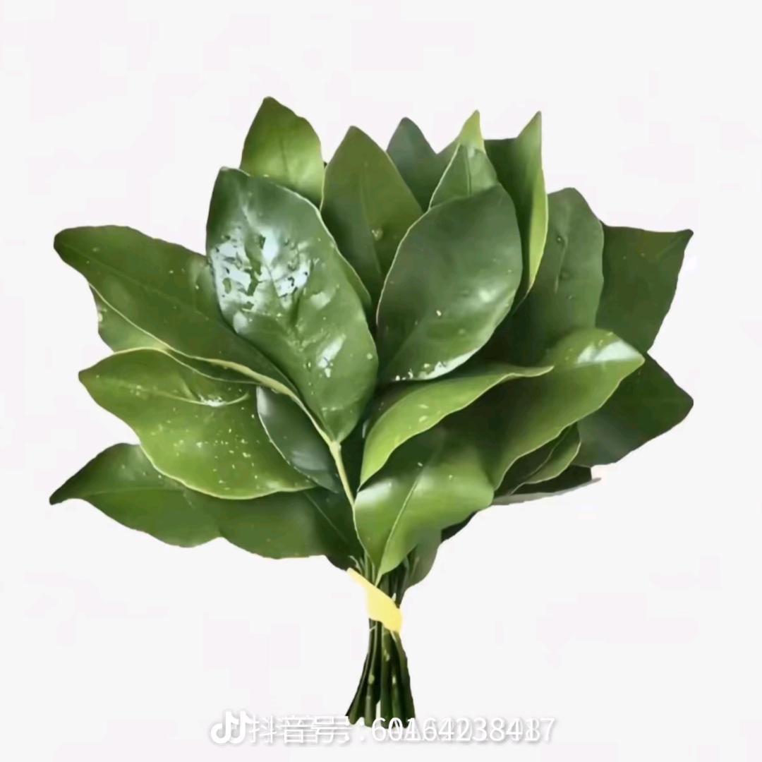 棉花