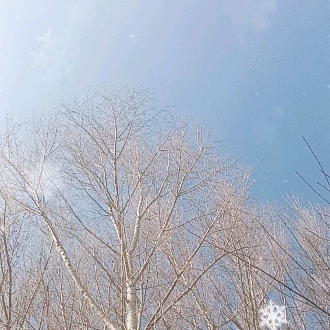 请叫我—大先生