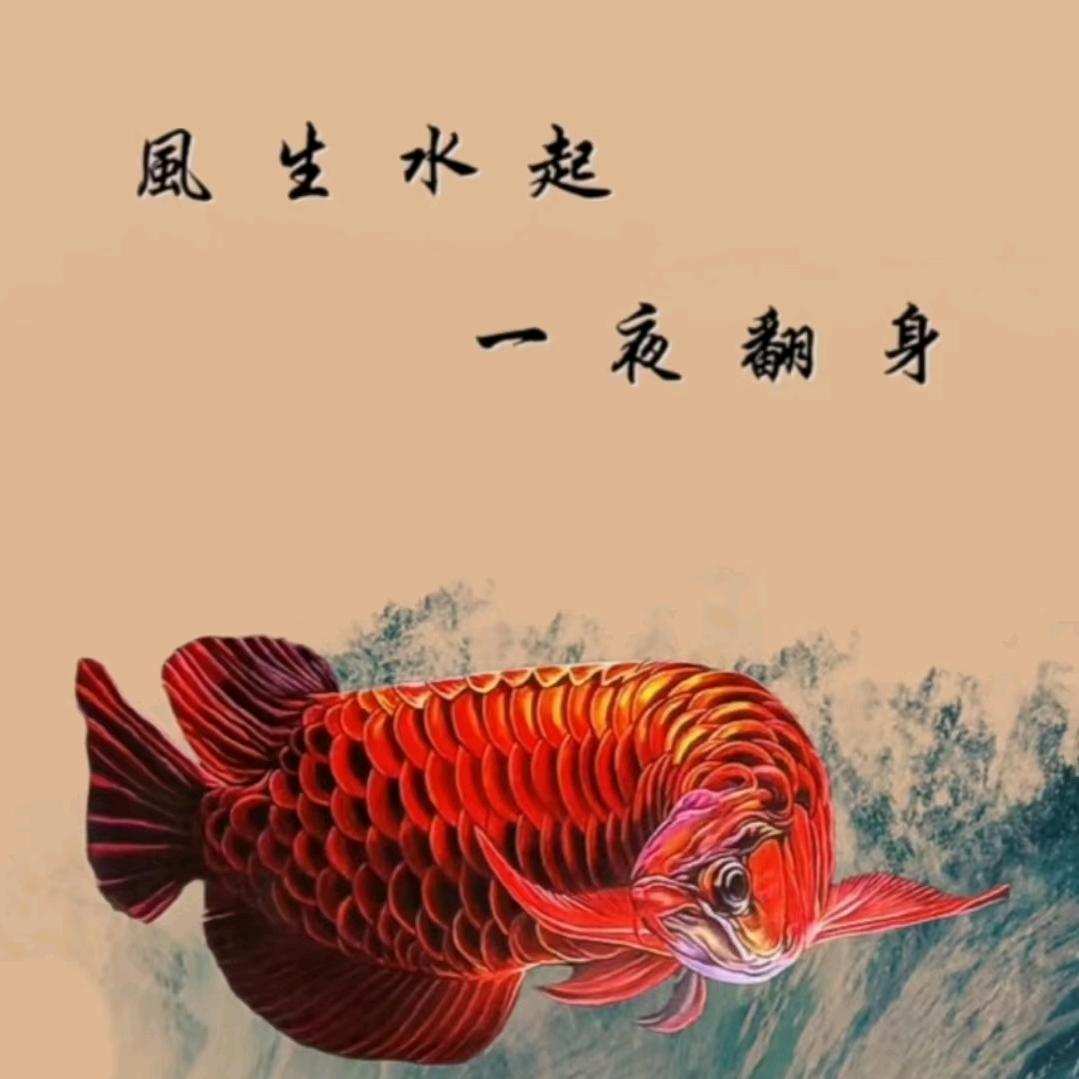 天圆地方