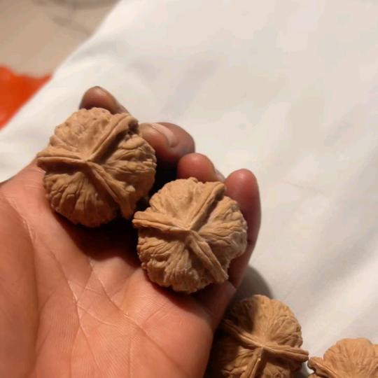 核乐苑