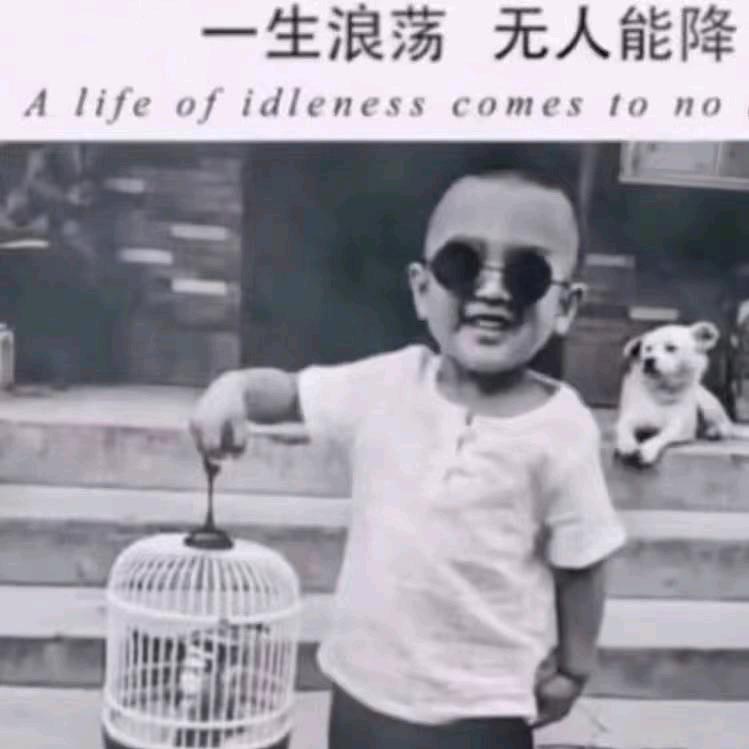 野风的狂妄