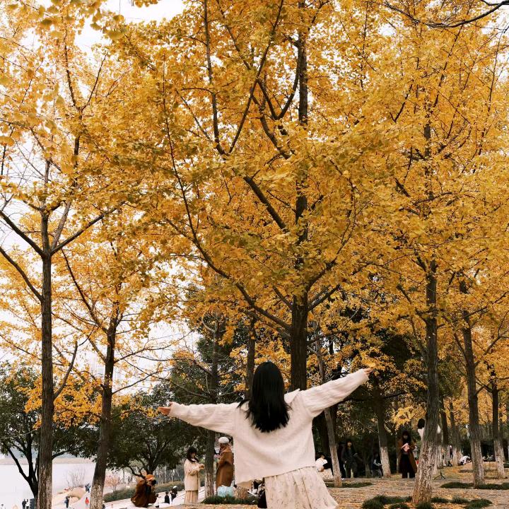 朱姐《掌上明猪肉》