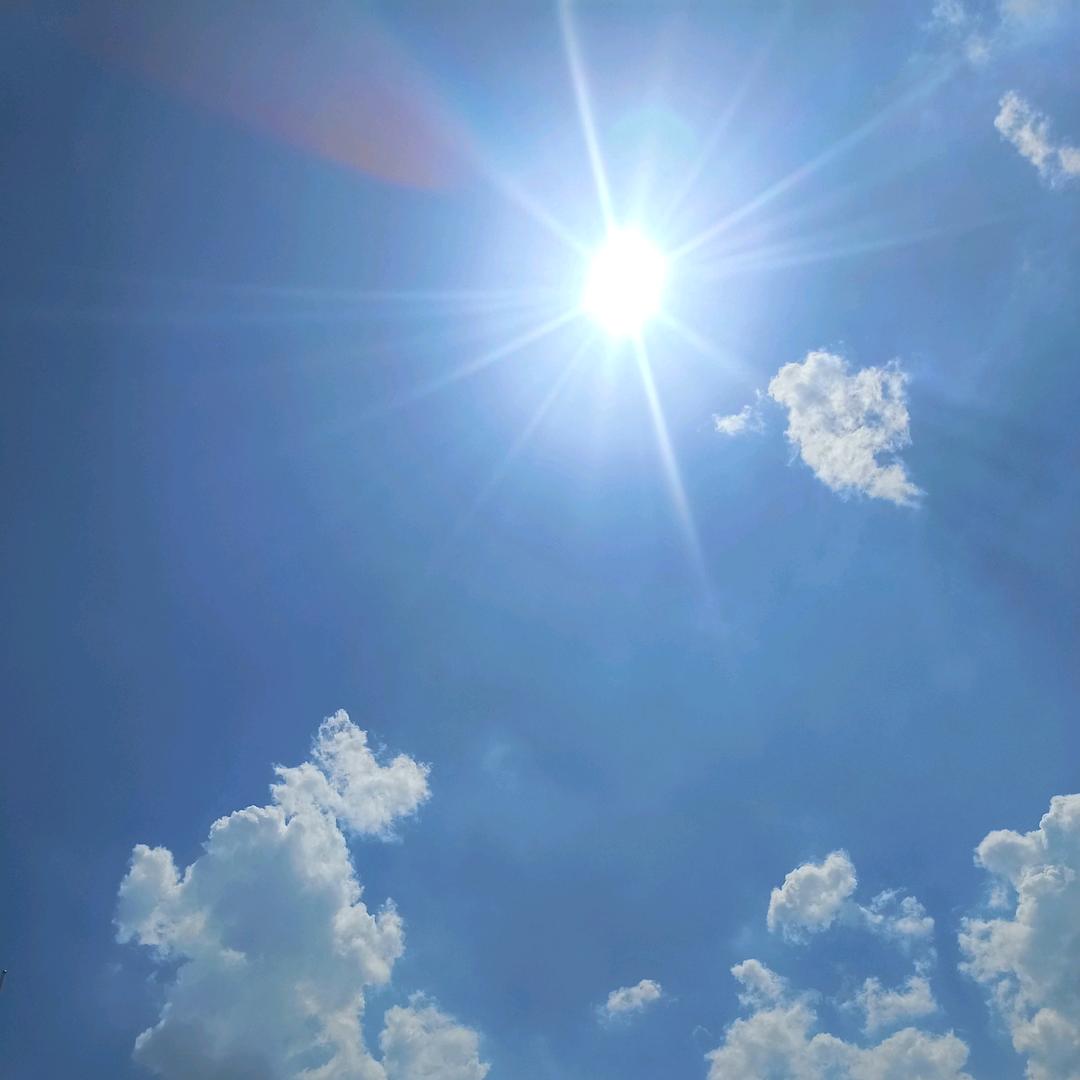 ༄ᐝ🌿㞮孞💖⃟⸜໊ഒᩚ࿐