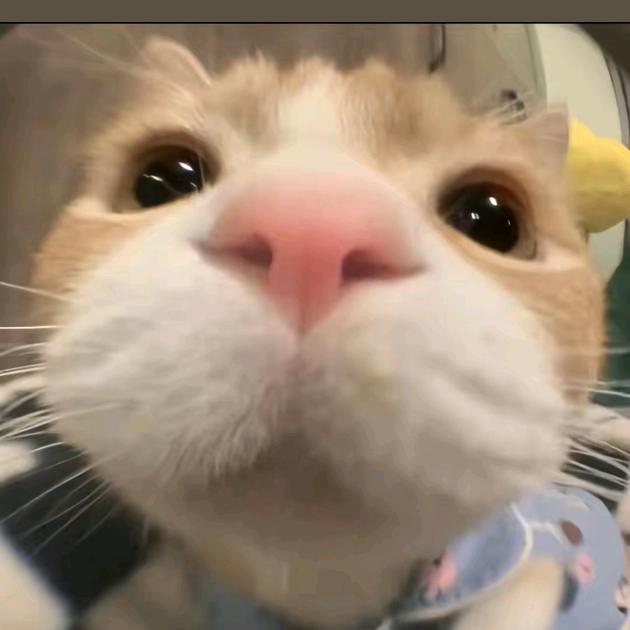 饭同学摆摊日记