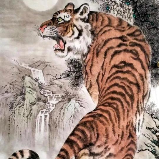 ᶘ ᵒᴥᵒᶅ 闹闹