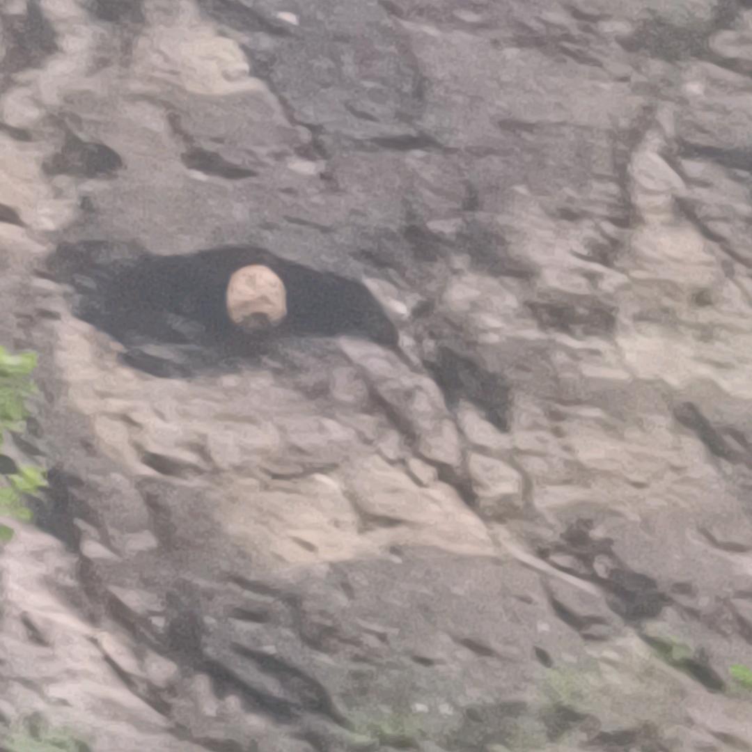 户外（七里蜂）