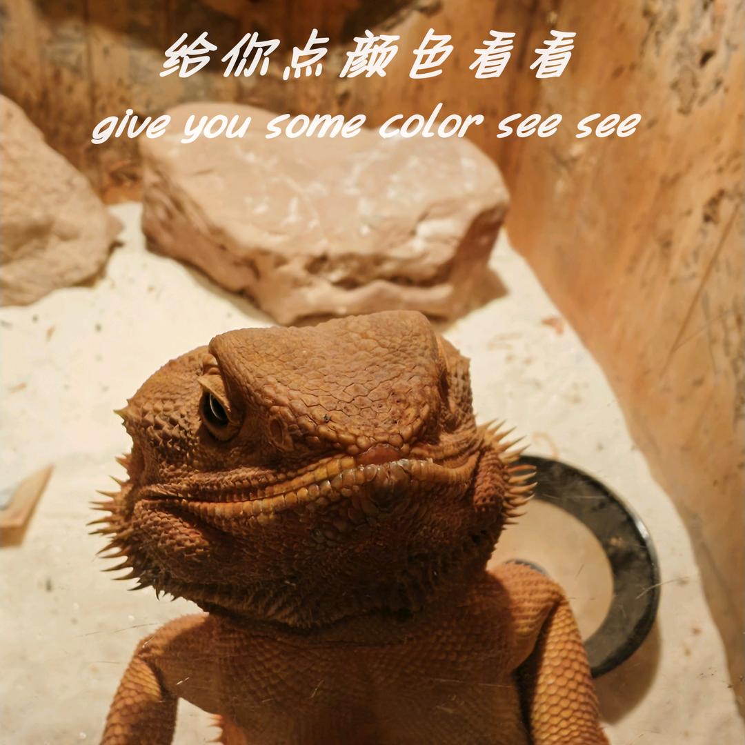 宜昌海底世界破忒头