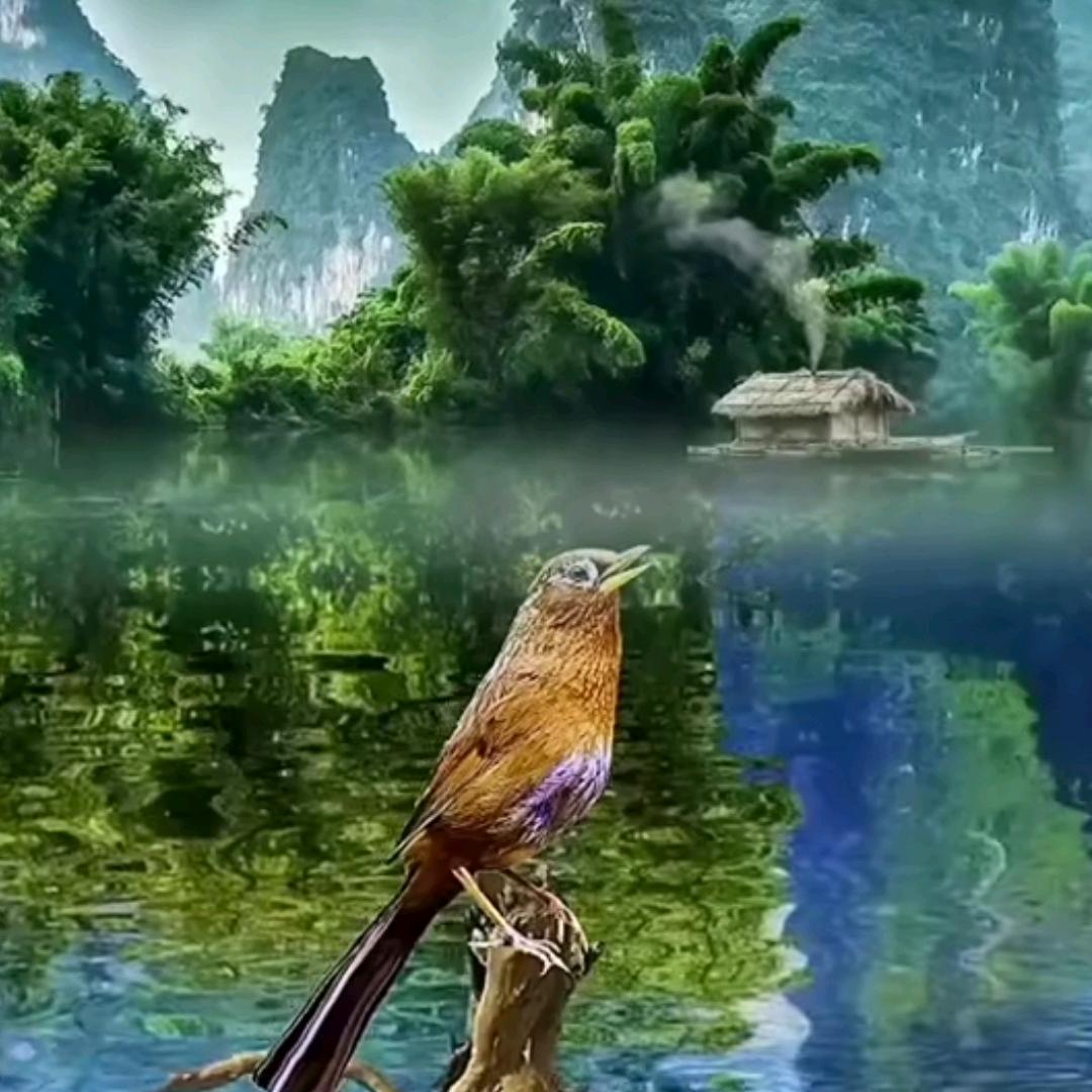 快乐的我