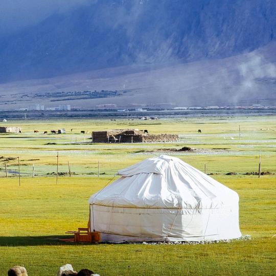 不讲理的（李）