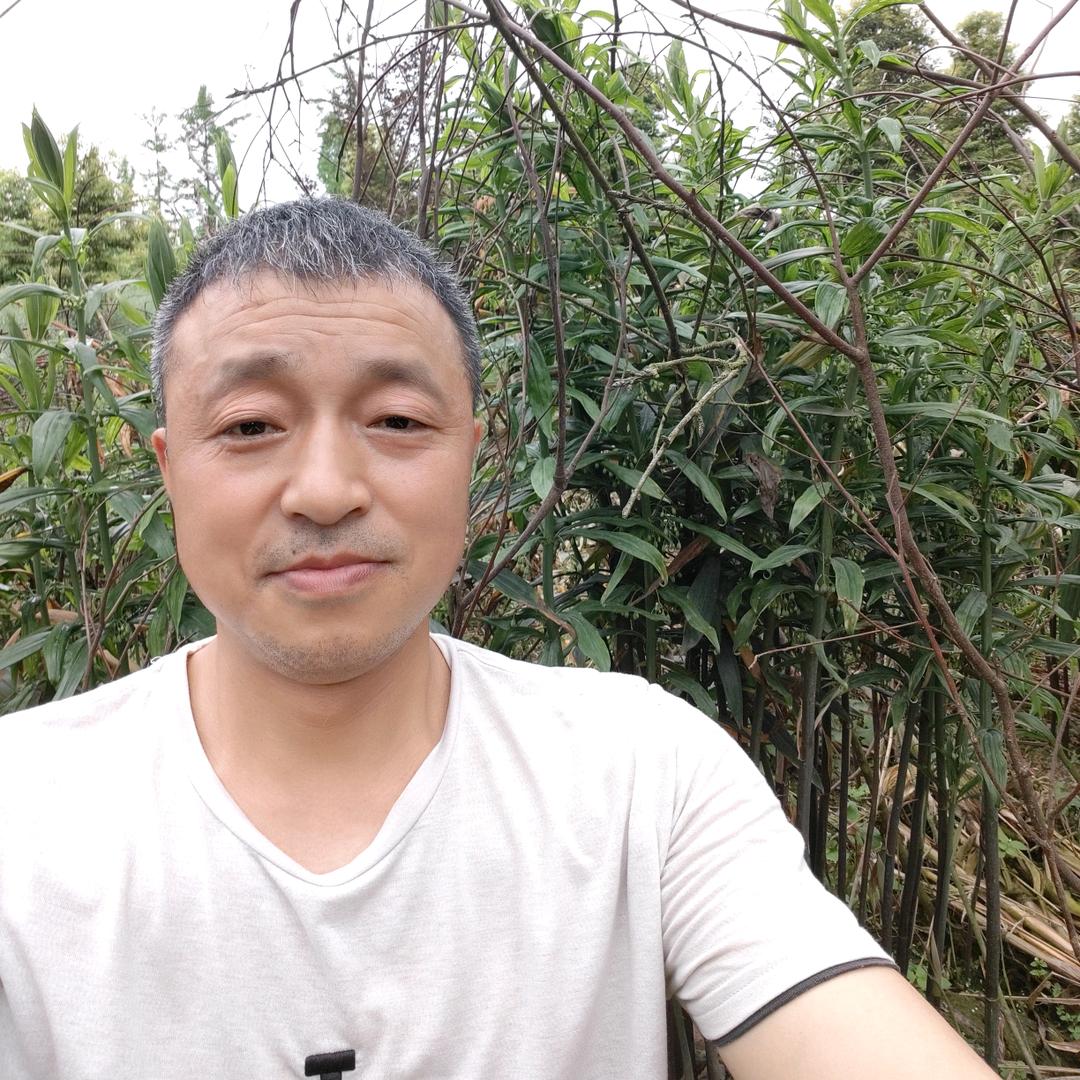 中药材专业种植