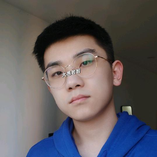 大愚若智🤡