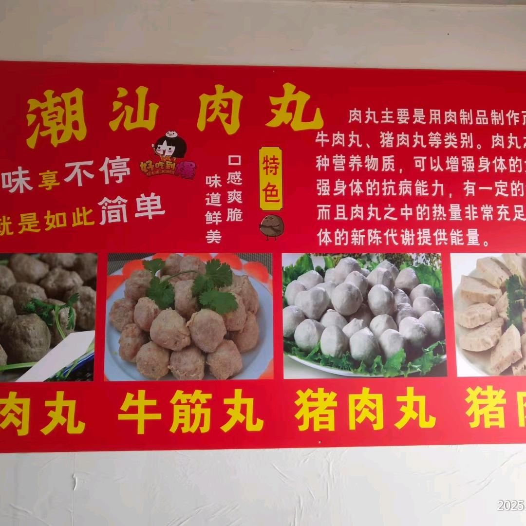 潮汕特产，新鲜肉饼，肉丸批发，零售