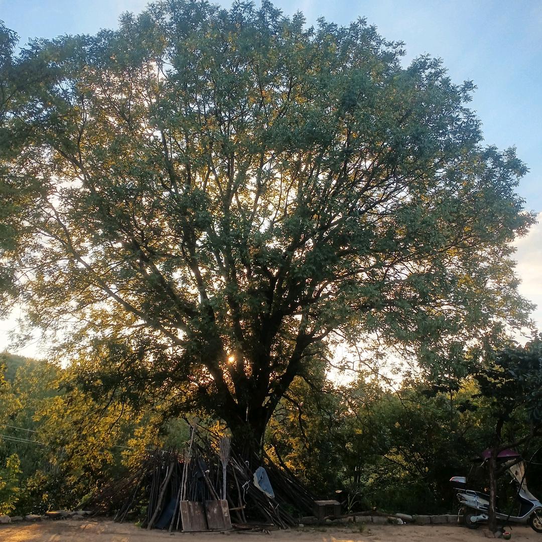 陈蒙后爱❤️❤️❤️