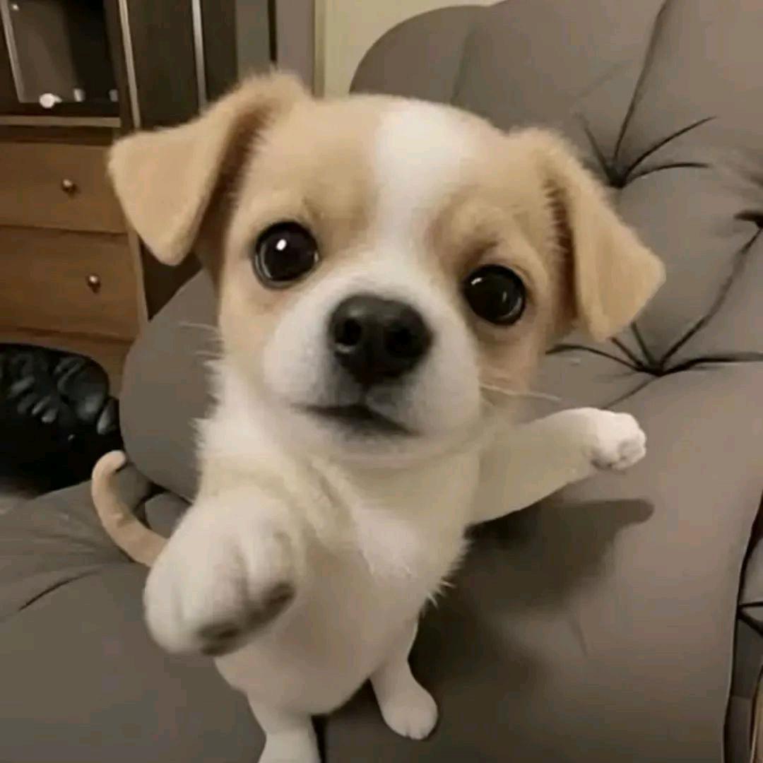 小孩擦擦眼泪