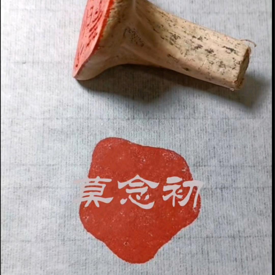 莫念初