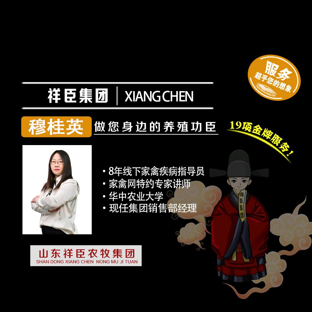 妮娜养鹅指导—祥臣农牧