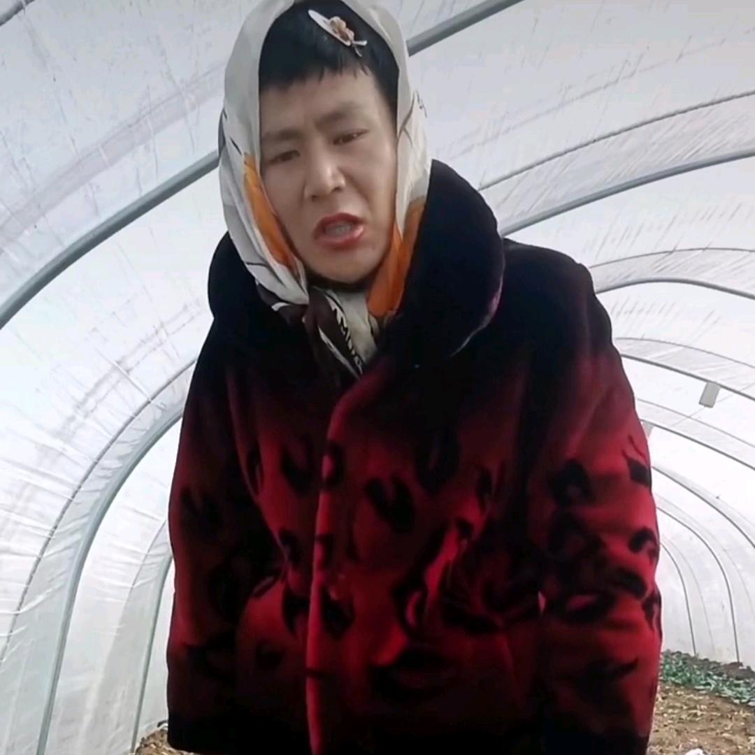 俺村俺最帅