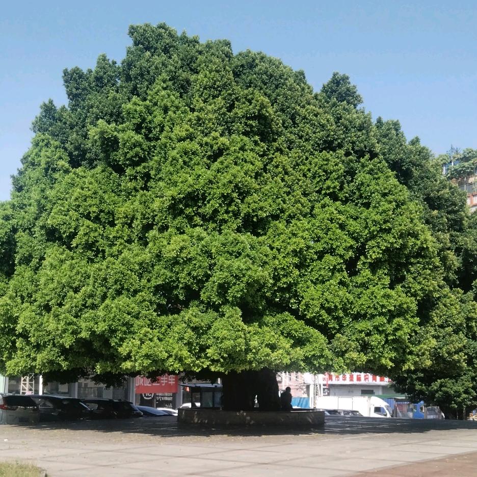 哥哥没人关心没人疼🤦‍♂️🤦‍♂🤦