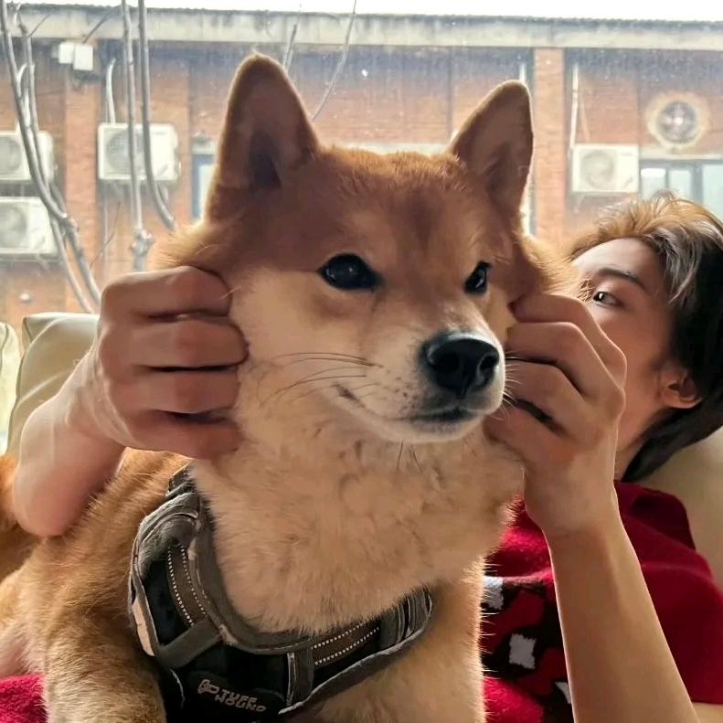 羡纸鸢Neo