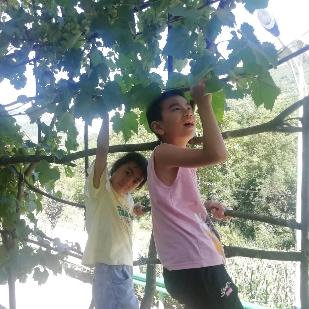 小邓同志