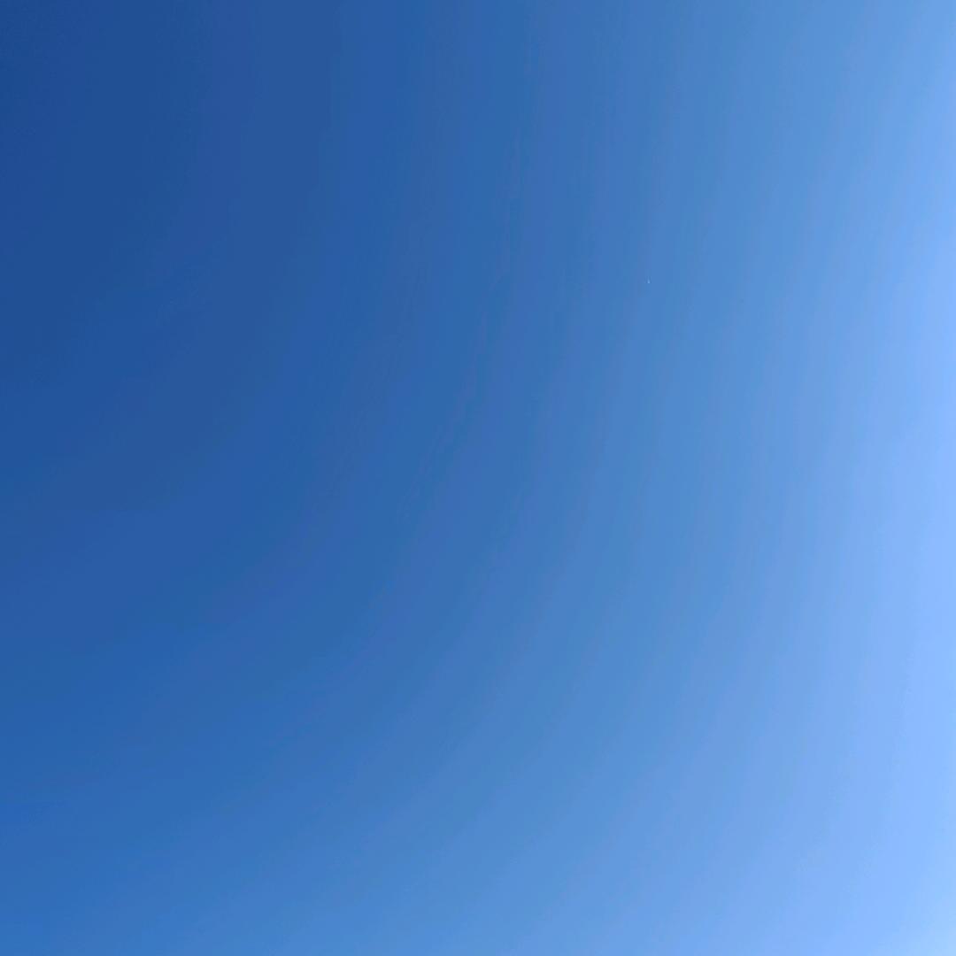 丽娜美容养生