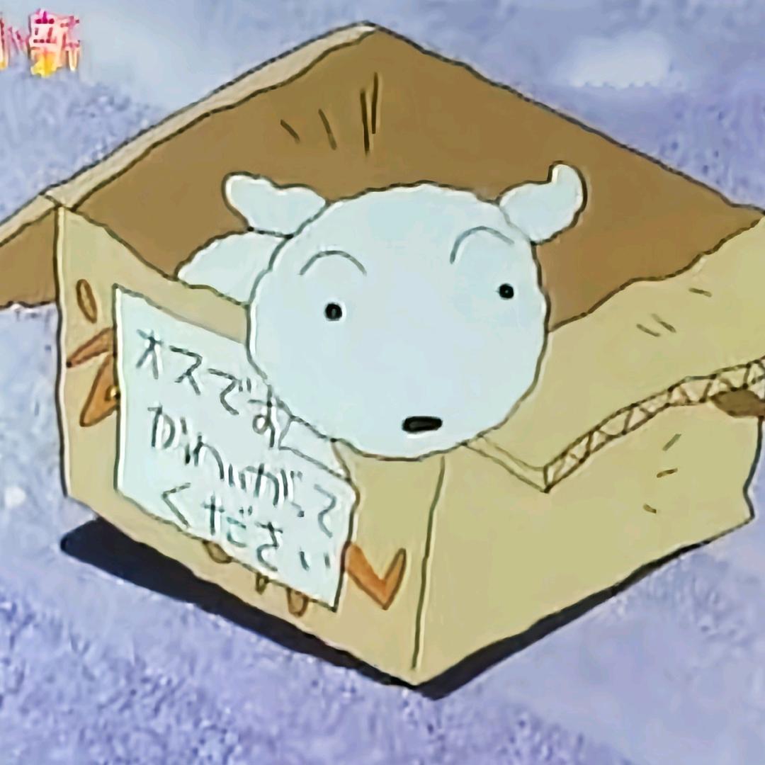 长沙琼芸蕊生活好物严选铺